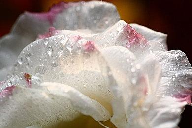 据报道称《寂静岭：Townfall》使用虚幻5引擎开发